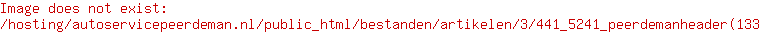 5241 peerdemanheader(133)