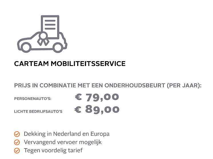 Carteam Autoservice Peerdeman